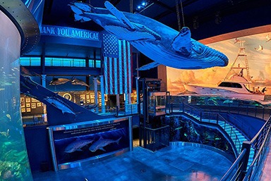 Johnny Morris’ Wonders of Wildlife National museum and aquarium - 62 miles